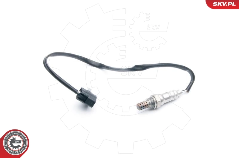 Oxygen Sensor